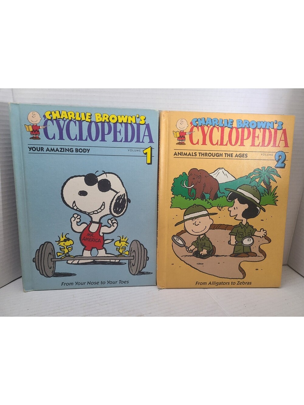 Charlie Brown's Cyclopedia Volumes 1 & 2 Vintage Books
